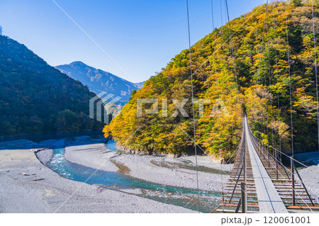 【静岡県】紅葉が美しい畑薙湖（大井川源流）　畑薙大吊橋から下流部の眺め 120061001