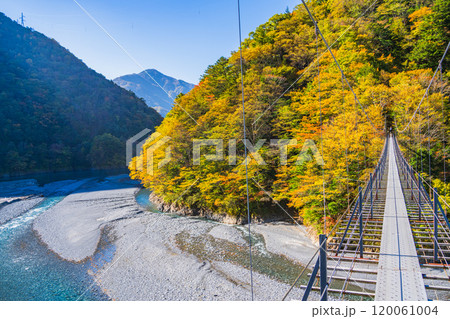 【静岡県】紅葉が美しい畑薙湖(大井川源流) 畑薙大吊橋から下流部の眺め 【静岡県】紅葉が美しい畑薙湖(大井川源流) 畑薙大吊橋から下流部の眺め 120061004