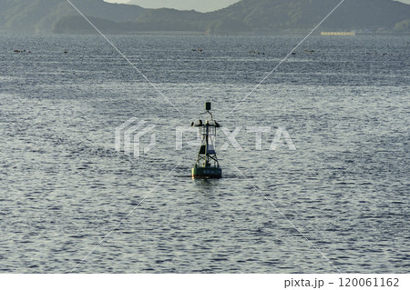 瀬戸内海 岡山第1号灯浮標 岡山県岡山市 瀬戸内海 岡山第1号灯浮標 岡山県岡山市 120061162