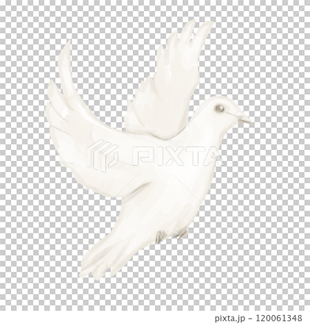 Dove Beige in Flight Illustration Digital Watercolor for Printing and Web Dove Beige in Flight Illustration Digital Watercolor for Printing and Web 120061348