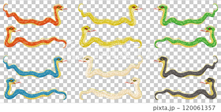 Year of the Snake snake illustration set 120061357