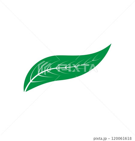 leaf logo leaf logo 120061618