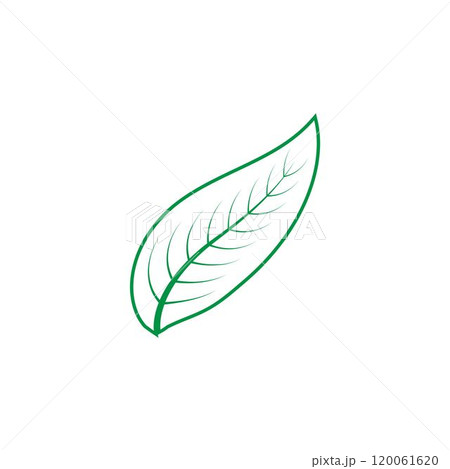 leaf logo 120061620