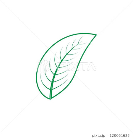 leaf logo leaf logo 120061625