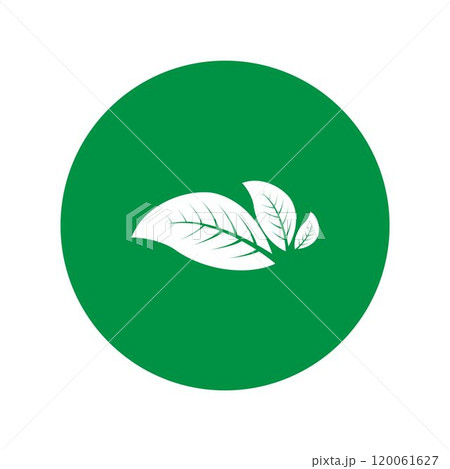 leaf logo 120061627