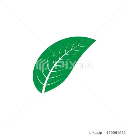 leaf logo leaf logo 120061682
