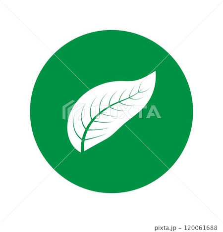 leaf logo 120061688