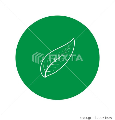 leaf logo leaf logo 120061689