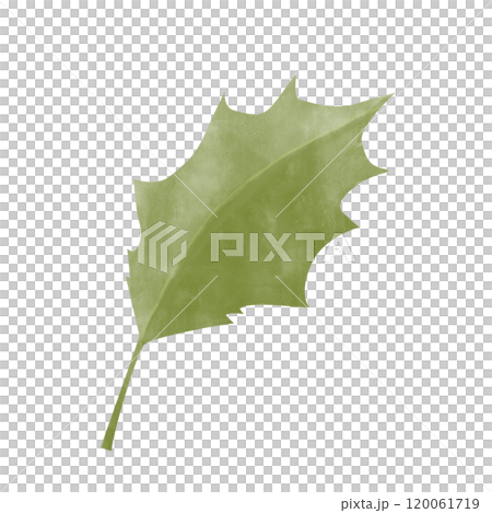 leaf, watercolor, foliage 120061719