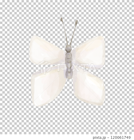 Watercolor Illustration Insect White Butterfly Old Vintage Style Clipart for Printing and Web Design 120061749
