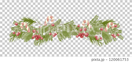 Watercolor Illustration Decoration with Fir Branches with Striped Candy Hooks, Red Berries, Holly Leaves. Christmas Composition for Printing and Web Watercolor Illustration Decoration with Fir Branches with Striped Candy Hooks, Red Berries, Holly Leaves. Christmas Composition for Printing and Web 120061753