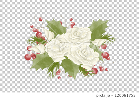 Watercolor Illustration Composition Bouquet with White Roses, Green Holly Leaves, Spruce Branches, Red Berries. Digital Vintage Christmas Element for Printing and Web 120061755
