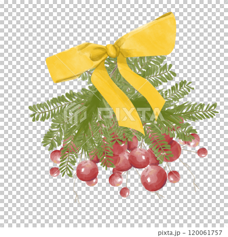 Watercolor Illustration Red Berries Bunch with Fir Tree Branches and Gold Satin Bow with Ribbons. Digital Vintage Christmas Element for Printing and Web 120061757