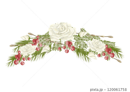 Watercolor Illustration Composition Curved Decoration with White Roses, Green Christmas Tree Branches, Red Berries. Digital Vintage Christmas Element for Printing and Web 120061758