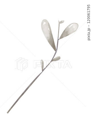 Illustration Watercolor Branch with Leaves Monochrome. Digital Clipart Vintage for Printing and Web Illustration Watercolor Branch with Leaves Monochrome. Digital Clipart Vintage for Printing and Web 120061795