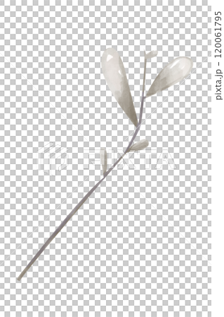 Illustration Watercolor Branch with Leaves Monochrome. Digital Clipart Vintage for Printing and Web Illustration Watercolor Branch with Leaves Monochrome. Digital Clipart Vintage for Printing and Web 120061795