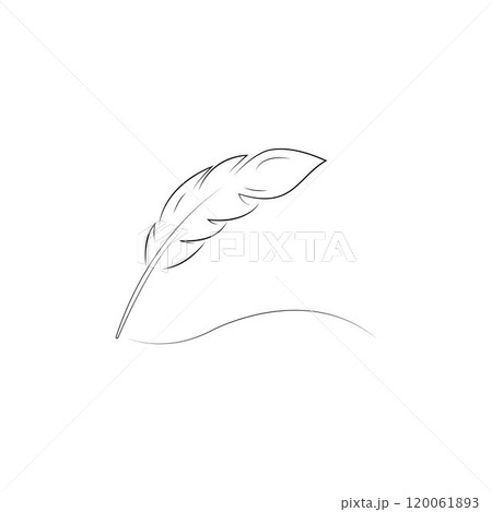 black feather isolated on white background 120061893