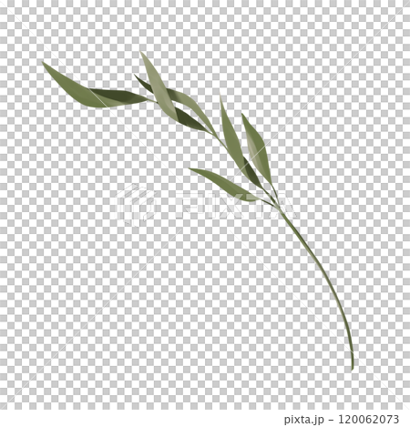 leaf, watercolor, foliage 120062073