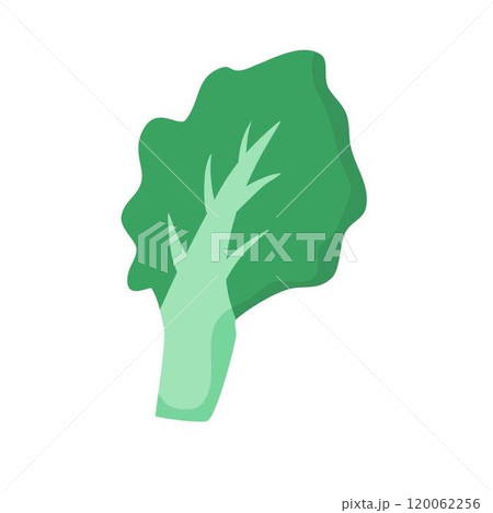 floating green mustard lettuce 120062256