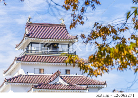 晩秋の鶴ヶ城(会津若松城) 福島県会津若松市 晩秋の鶴ヶ城(会津若松城) 福島県会津若松市 120062271