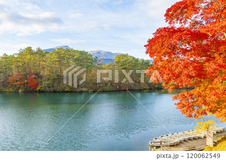 晩秋の毘沙門沼(五色沼)の風景 初雪の磐梯山 福島県北塩原村 晩秋の毘沙門沼(五色沼)の風景 初雪の磐梯山 福島県北塩原村 120062549