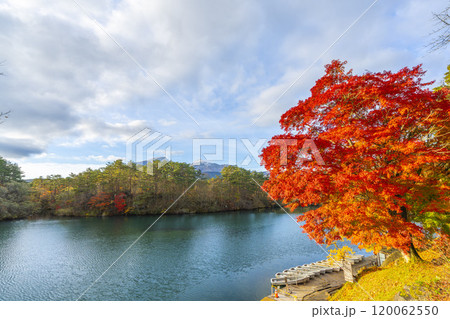 晩秋の毘沙門沼（五色沼）の風景　初雪の磐梯山　福島県北塩原村 120062550