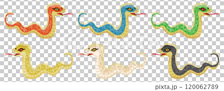 巳年の蛇のイラストセット 120062789