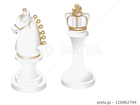 チェスの駒~キングとナイト チェスの駒~キングとナイト 120062794