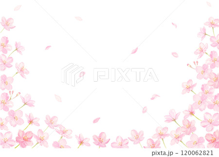 水彩で描いた桜のフレーム 120062821