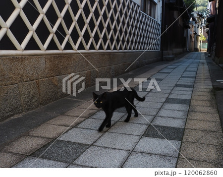 真鍋島の風景 120062860