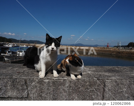 真鍋島の風景 120062866