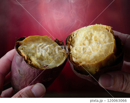 秋の味覚 焼き芋 （ さつまいも ）焼き芋を手で割る 120063066