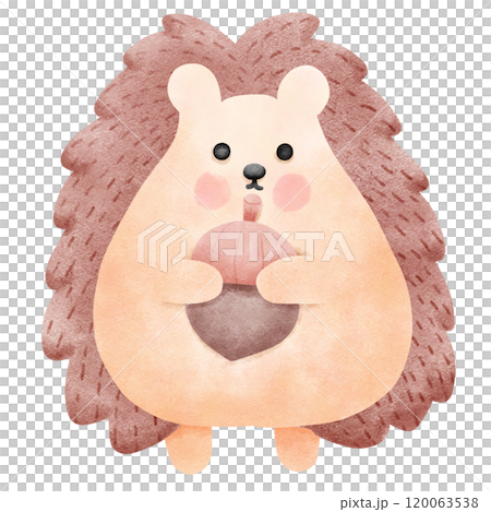 Watercolor hedgehog cartoon holding an acorn Watercolor hedgehog cartoon holding an acorn 120063538