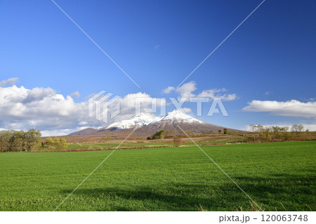 晩秋の北海道森町で秋まき小麦畑と初雪の駒ヶ岳の風景を撮影 晩秋の北海道森町で秋まき小麦畑と初雪の駒ヶ岳の風景を撮影 120063748