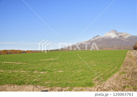 晩秋の北海道森町で秋まき小麦畑と初雪の駒ヶ岳の風景を撮影 120063761