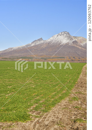 晩秋の北海道森町で秋まき小麦畑と初雪の駒ヶ岳の風景を撮影 120063762