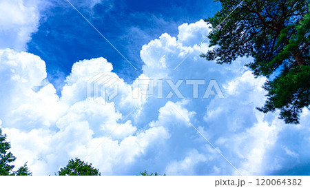 夏空と雲 120064382