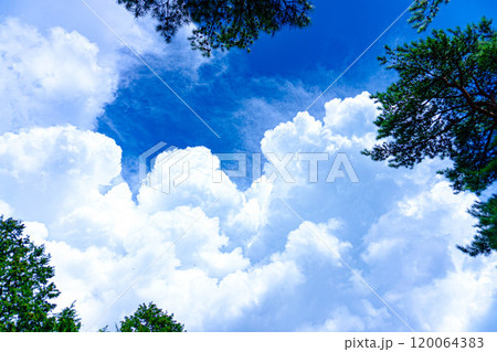 夏空と雲 120064383