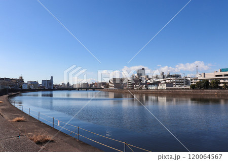 鶴見川(神奈川県横浜市鶴見区) 鶴見川(神奈川県横浜市鶴見区) 120064567