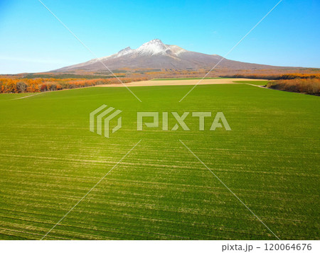 晩秋の北海道森町で秋まき小麦畑と初雪の駒ヶ岳の風景を空撮 120064676