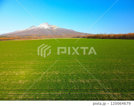 晩秋の北海道森町で秋まき小麦畑と初雪の駒ヶ岳の風景を空撮 晩秋の北海道森町で秋まき小麦畑と初雪の駒ヶ岳の風景を空撮 120064679