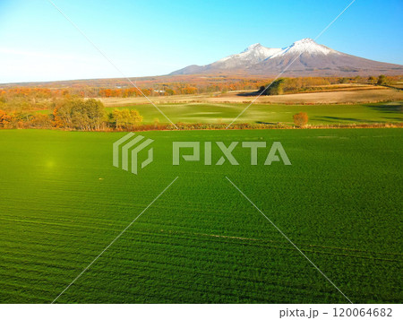 晩秋の北海道森町で秋まき小麦畑と初雪の駒ヶ岳の風景を空撮 120064682
