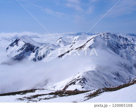 谷川岳から望む冬の上越国境稜線・仙ノ倉山方面 120065108