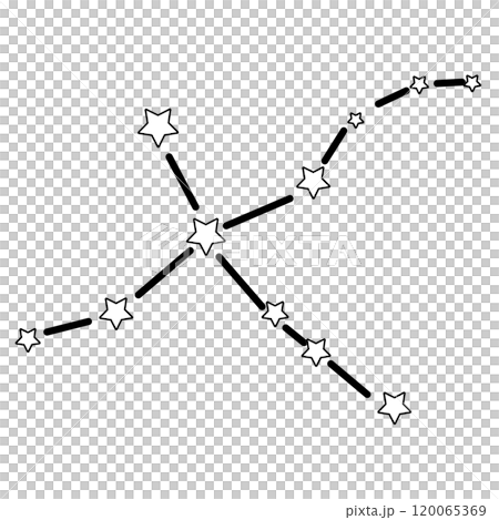 シンプルでかわいい白鳥座のイラスト シンプルでかわいい白鳥座のイラスト 120065369