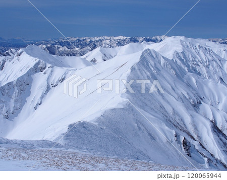 谷川岳から望む冬の上越国境稜線・仙ノ倉山方面 120065944