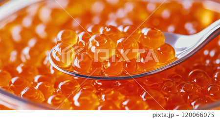 Exquisite salmon roe on a silver spoon...のイラスト素材 [120066075] - PIXTA