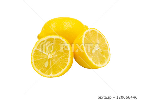 レモン【広島県産】 120066446