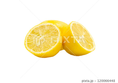 レモン【広島県産】 120066448