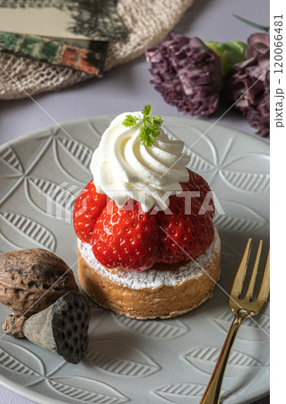 かわいいイチゴのケーキ 120066481