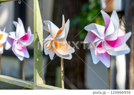 秋の熊野神社(熊野大社)の風景　秋の風花（かざはな）　山形県南陽市 120066956